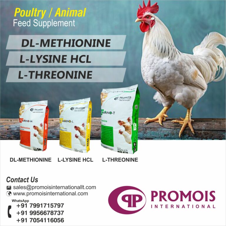 Animal Feed Supplements: Poultry Antibiotics