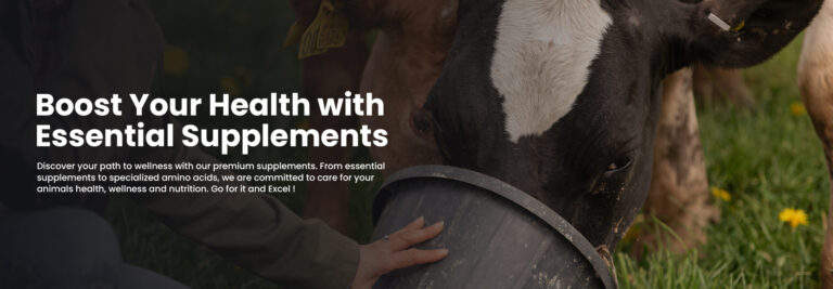 Animal Feed Supplements: Toxin Binder